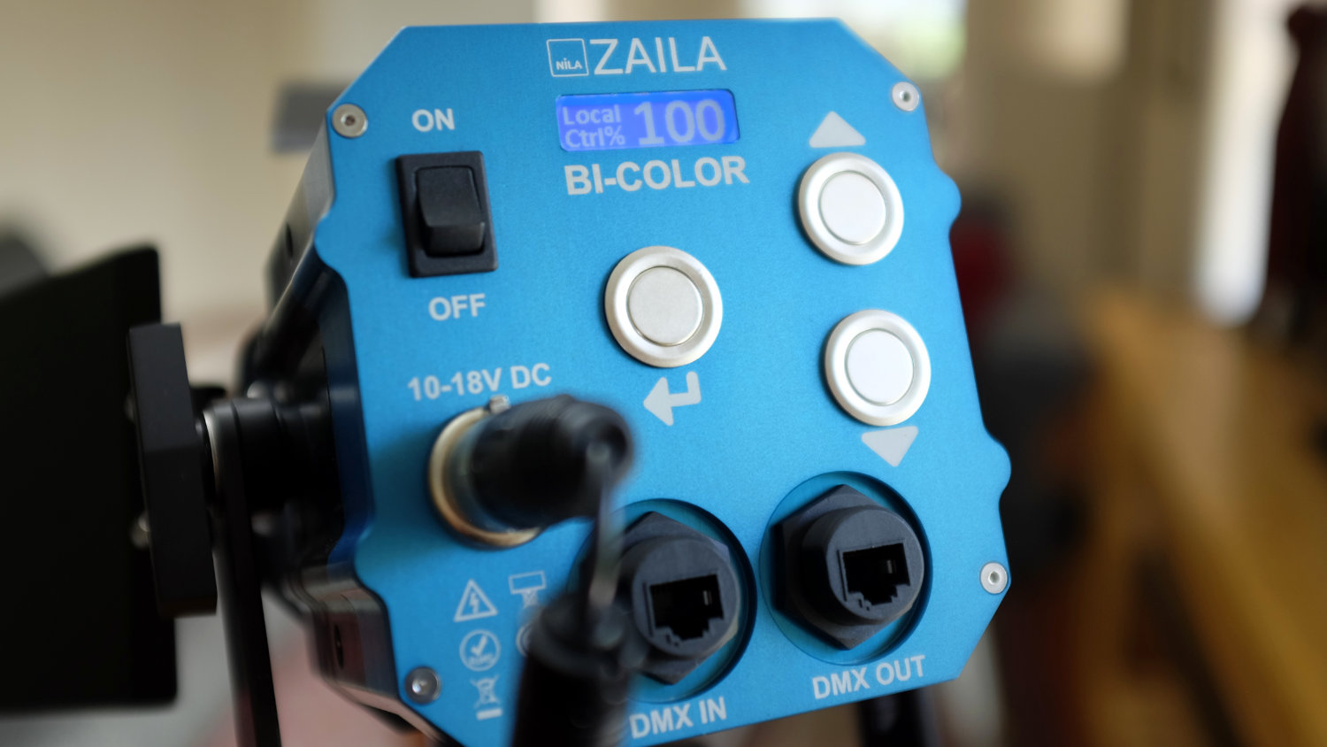 zaila-bc-back.jpg