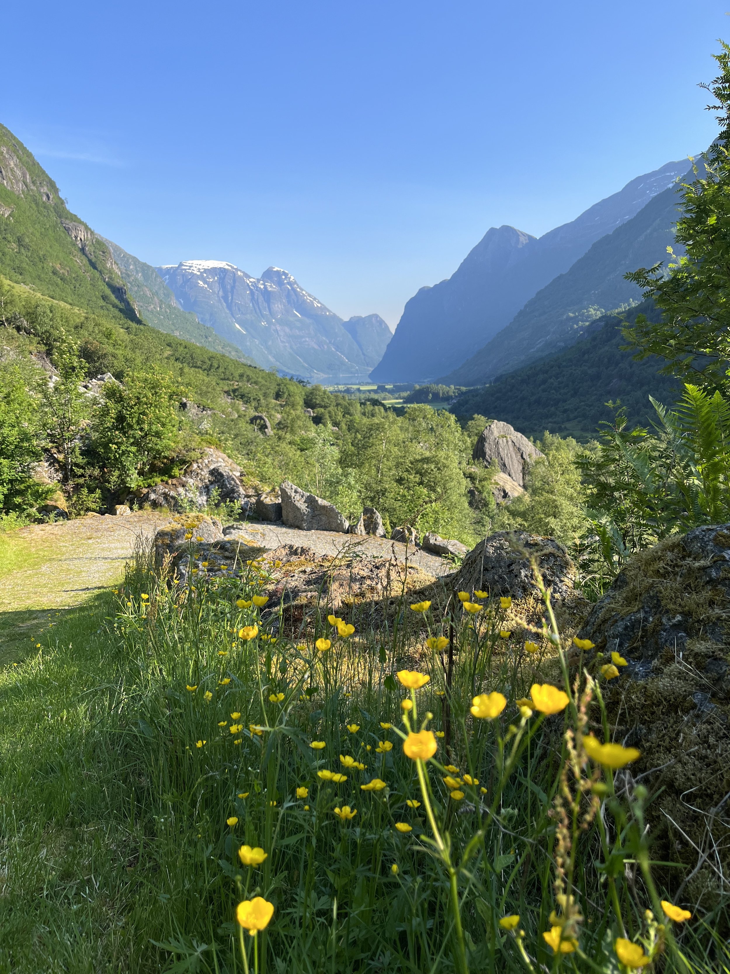 Utsikten Oldedalen .jpg