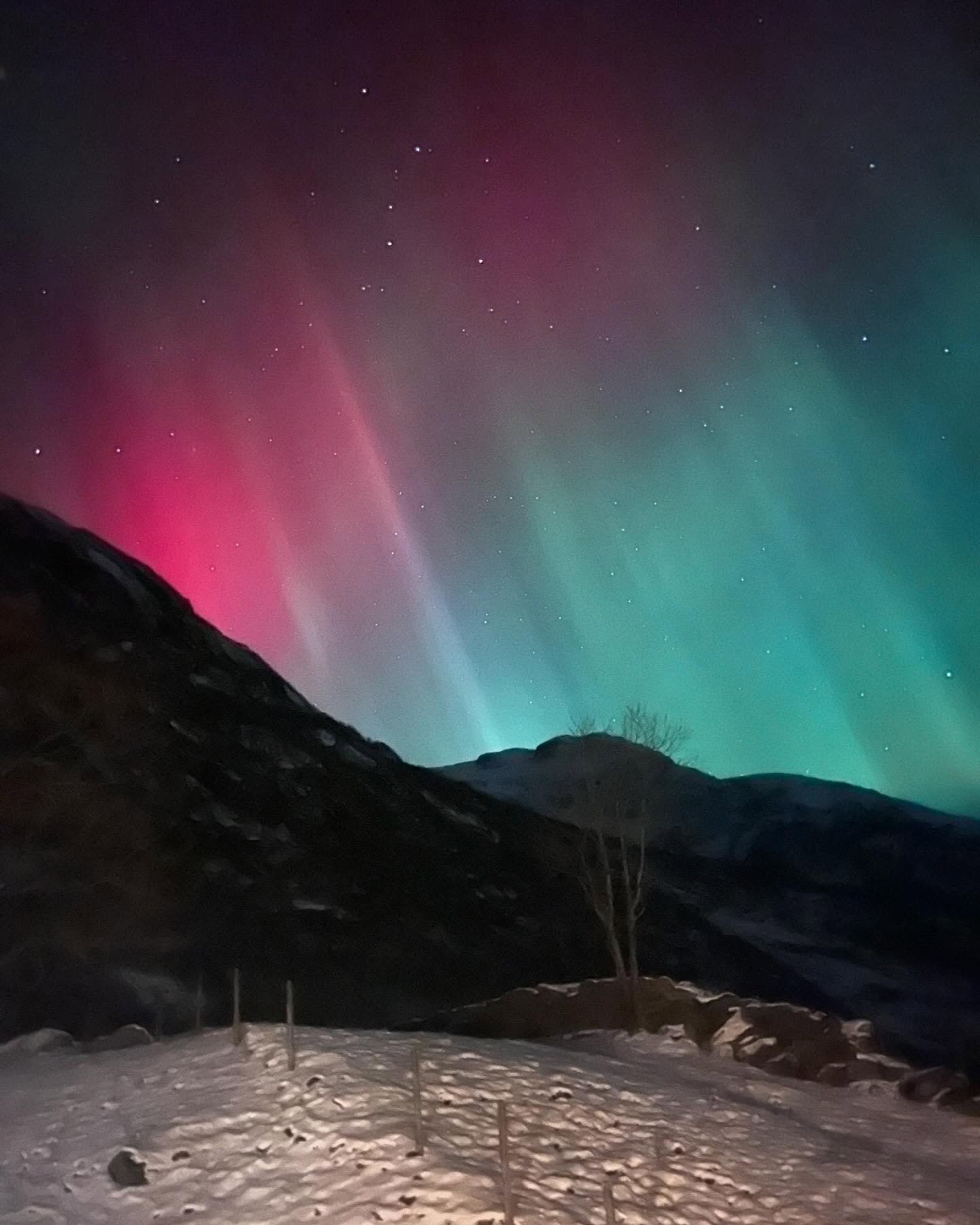 Exactly at midnight this New Years Eve we experienced a magical light show ~ welcoming 2025 in the most fantastic way possible with starlight and northern light. 

Happy New Year! 🎇

#auroraborealis #naturephotography #naturelovers #naturegeography 