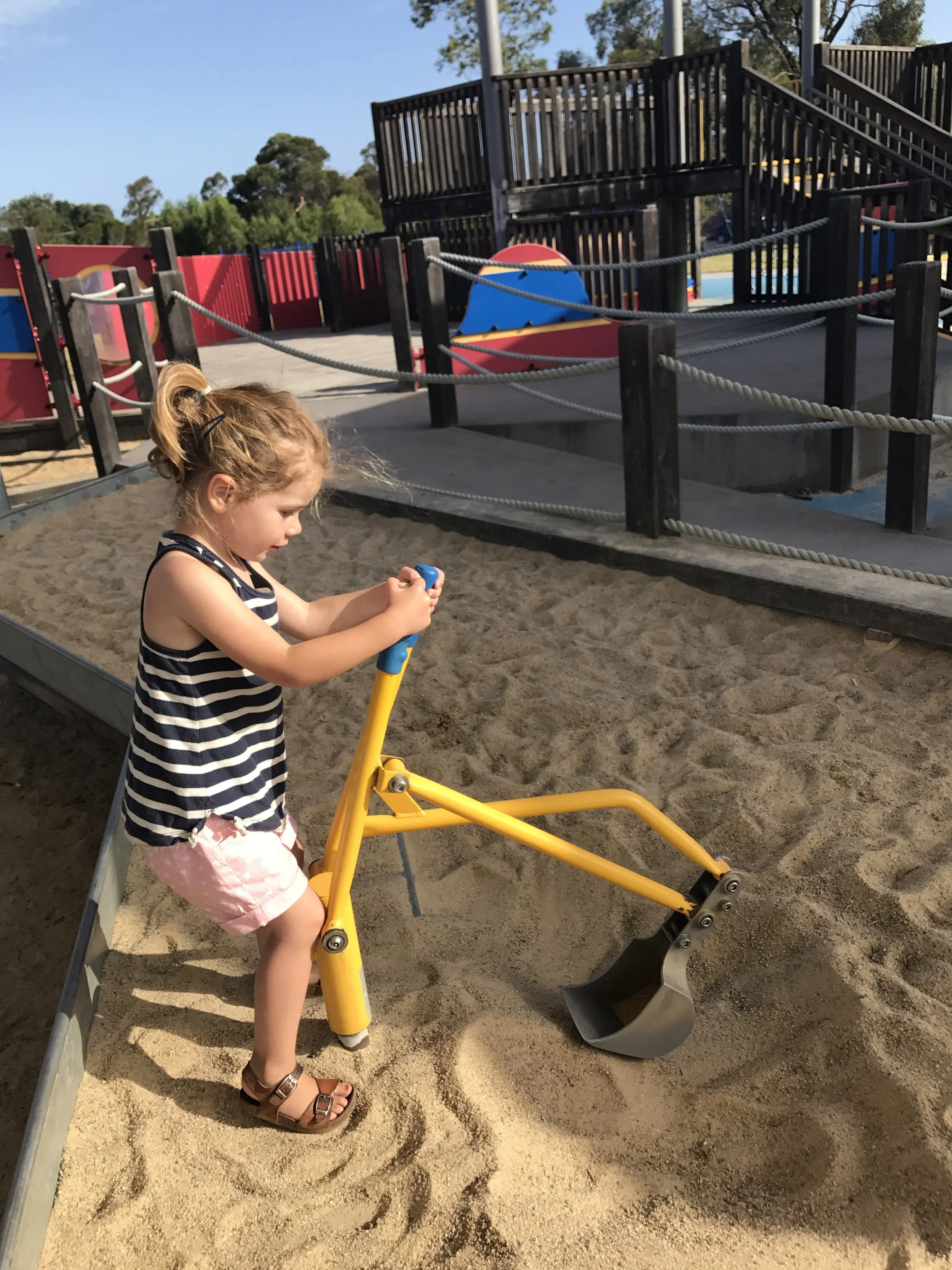 Koala's en Tawny Frogmouths