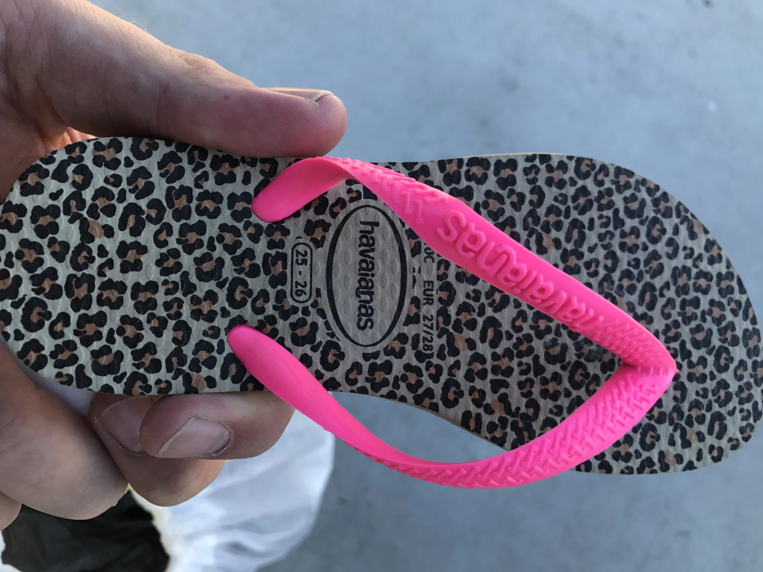 Tassie en het raadsel van de verdwenen slipper!