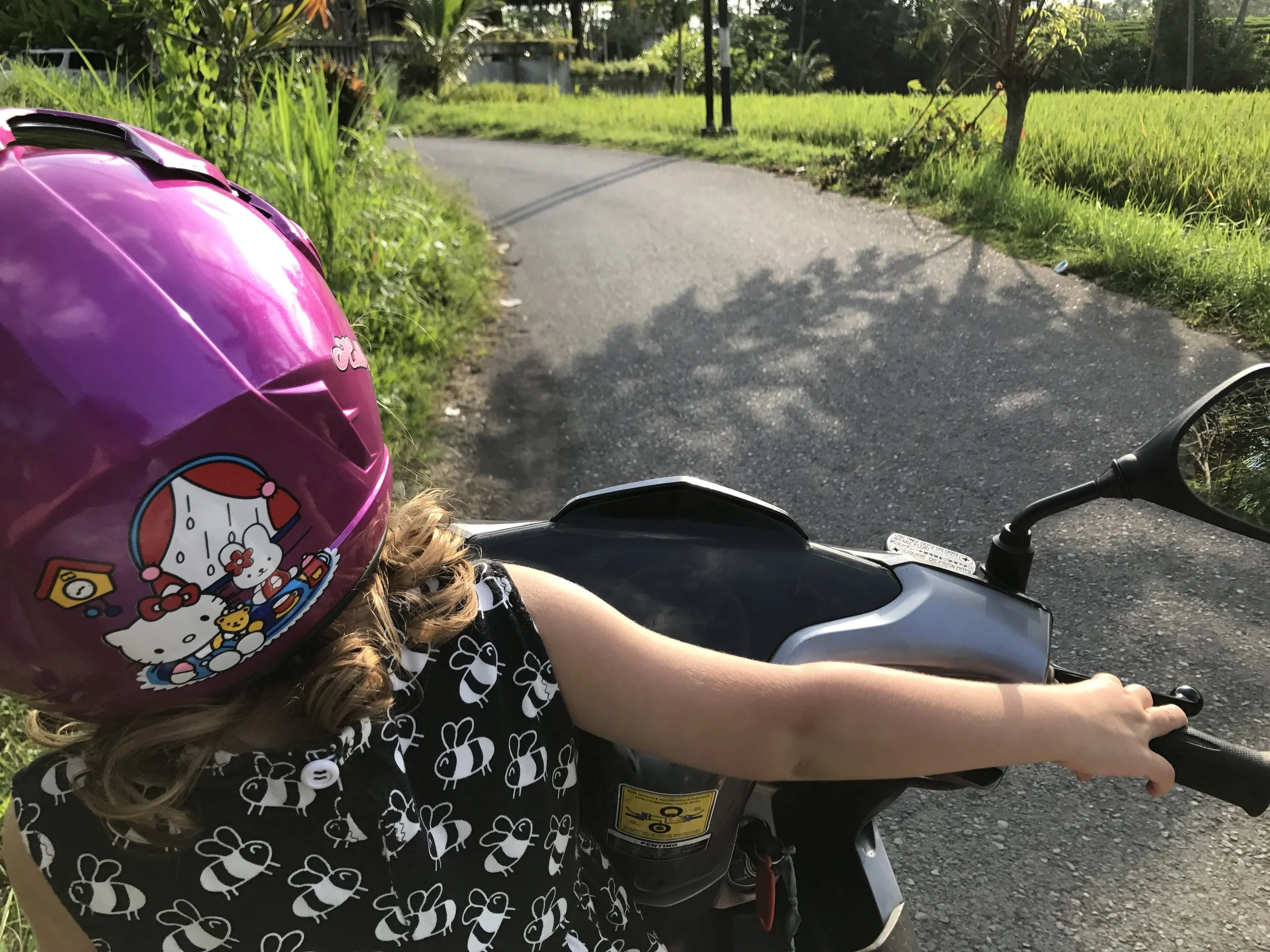 Welkom in Ubud, pracht huis en scooter “rijden”