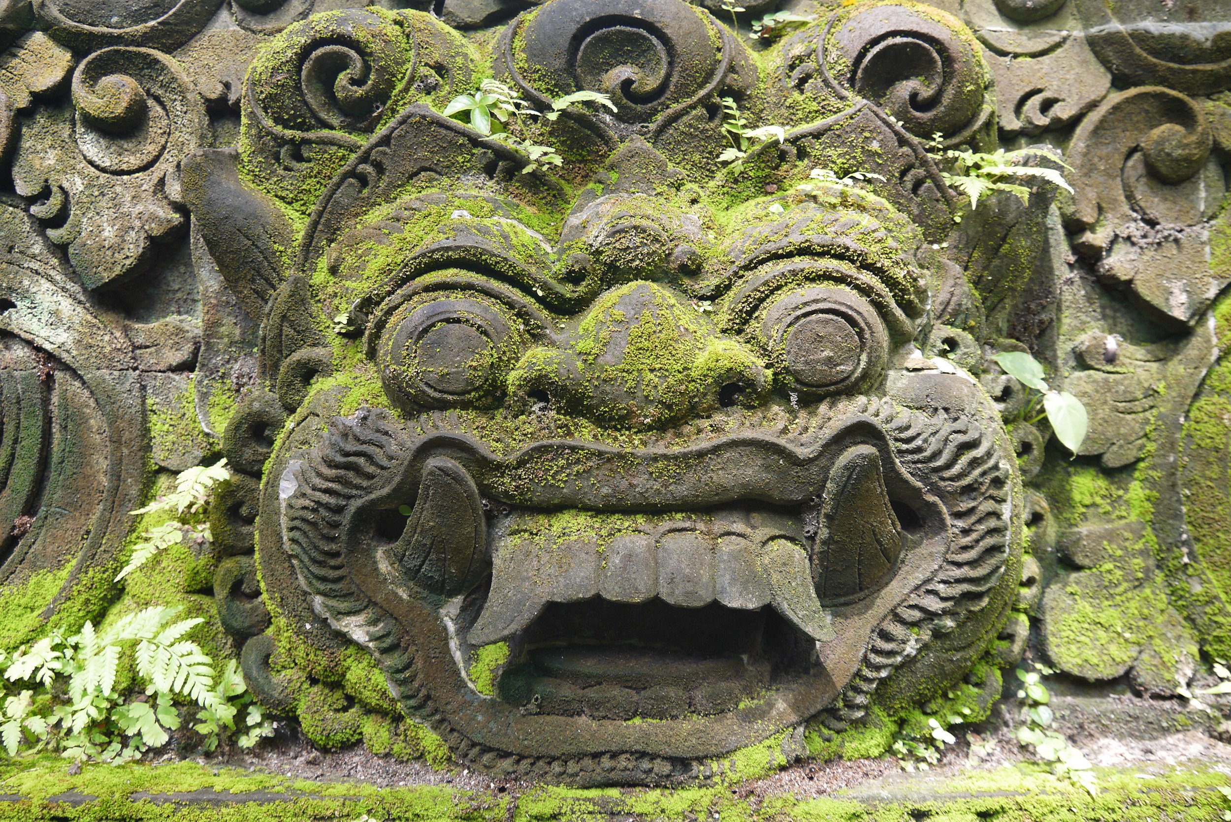 Nog meer wandelen, Moederdag en Ubud Foodfestival