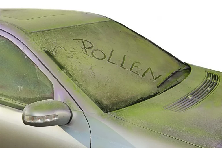 Is Pollen Bad For My Car's Paint? 