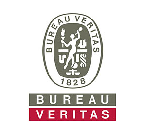 BV logo.png