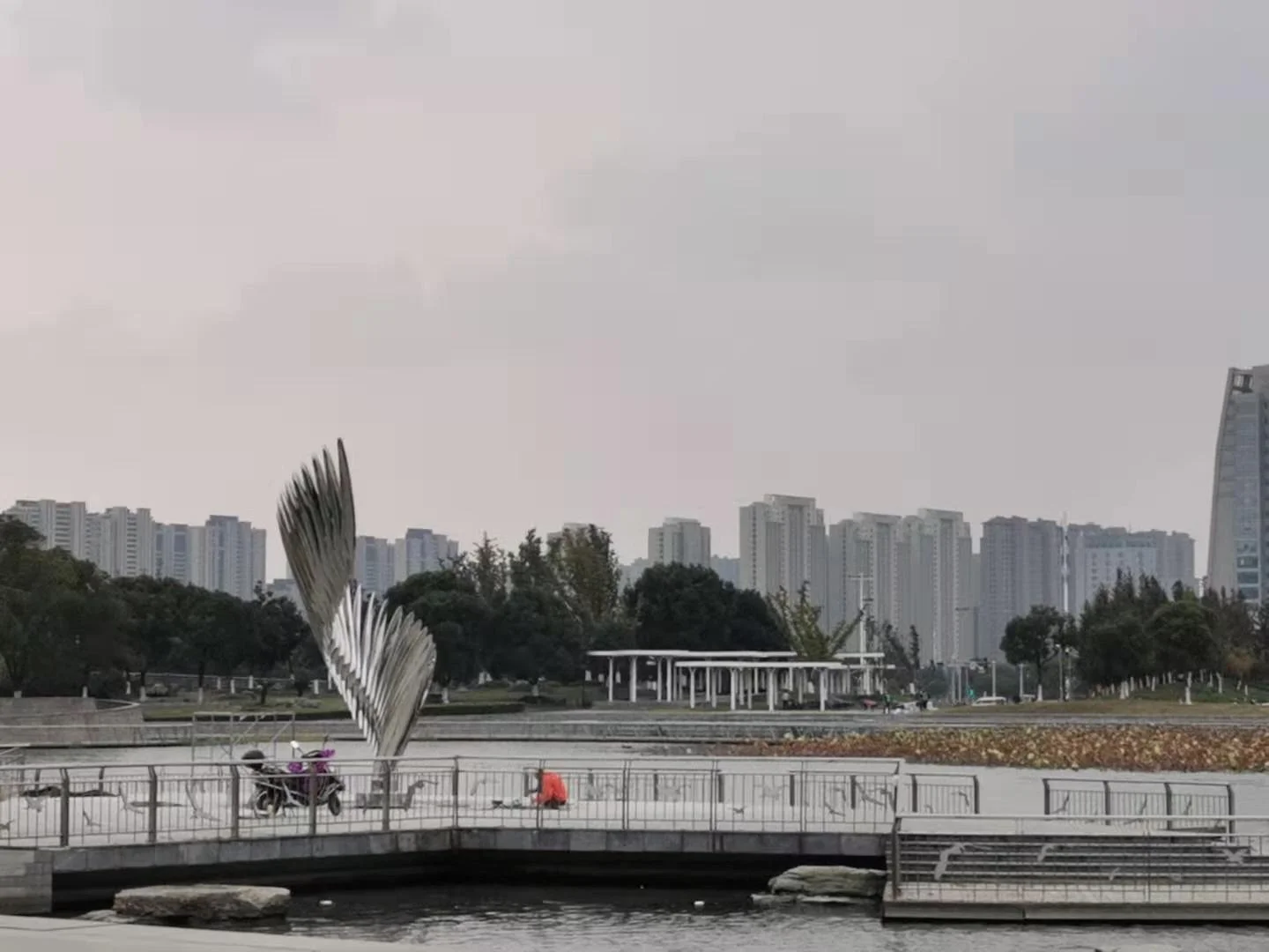 Photo Jan 02, 10 24 04 AM.jpg