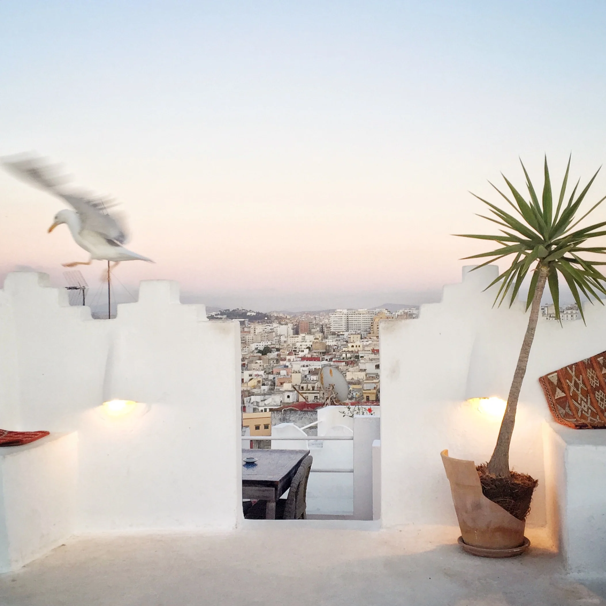 Turmeric &amp; yogurt mask 