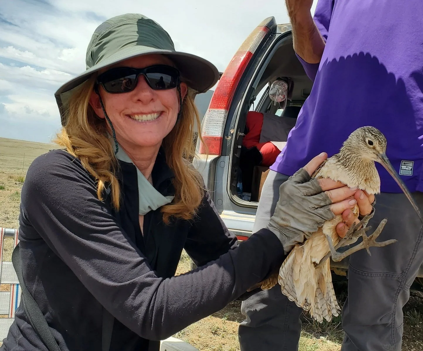 The Mid-Continent Shorebird Management Plan & Local Implementation – presented by Kelli Stone & David Newstead, Ph.D.