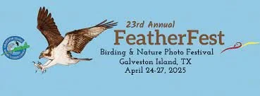 Galveston FeatherFest Birding &amp; Nature Photography Festival