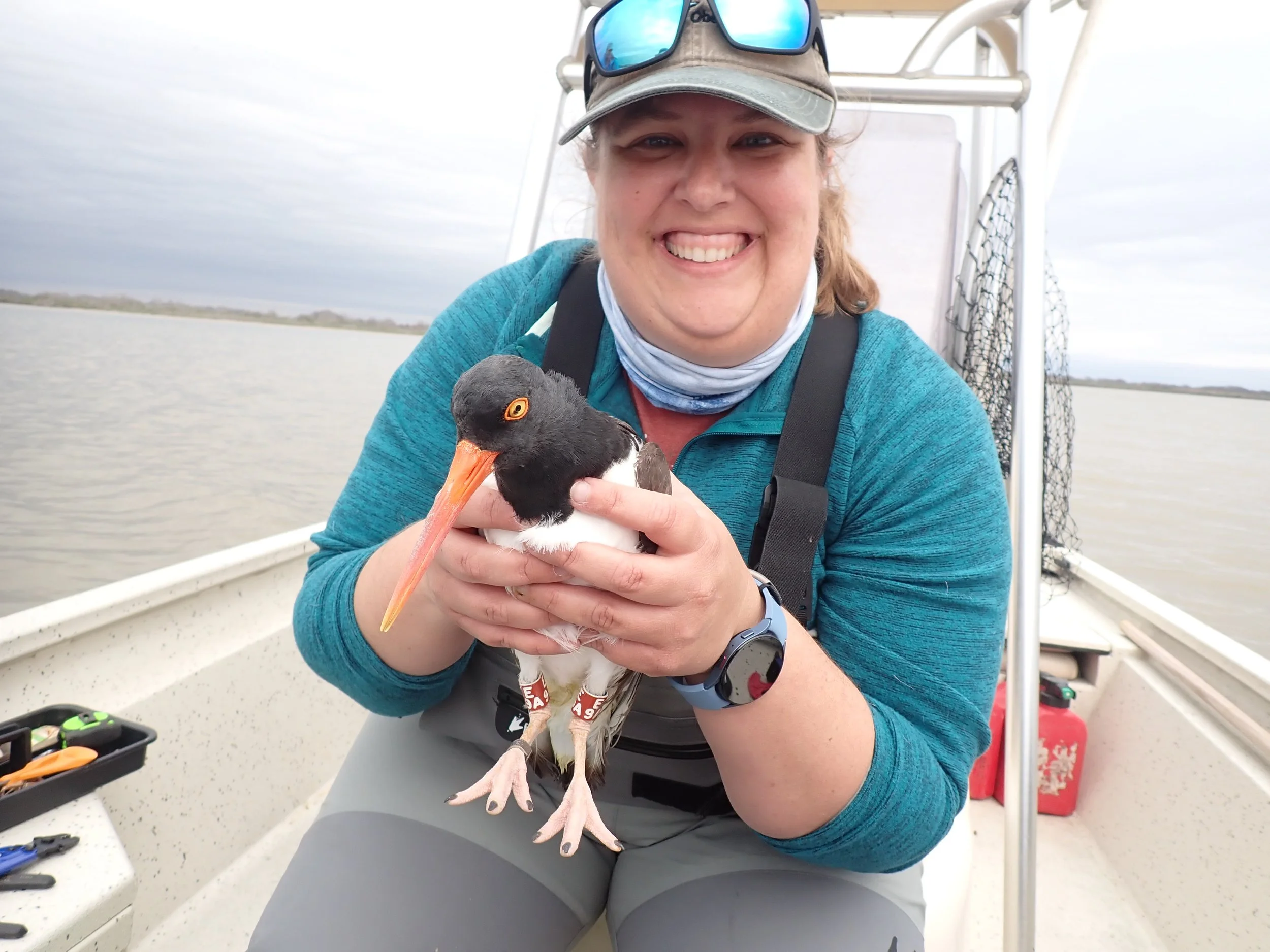 Coastal Motus Tower Network of the Gulf Coast Bird Observatory - presented by Rebecca Bracken