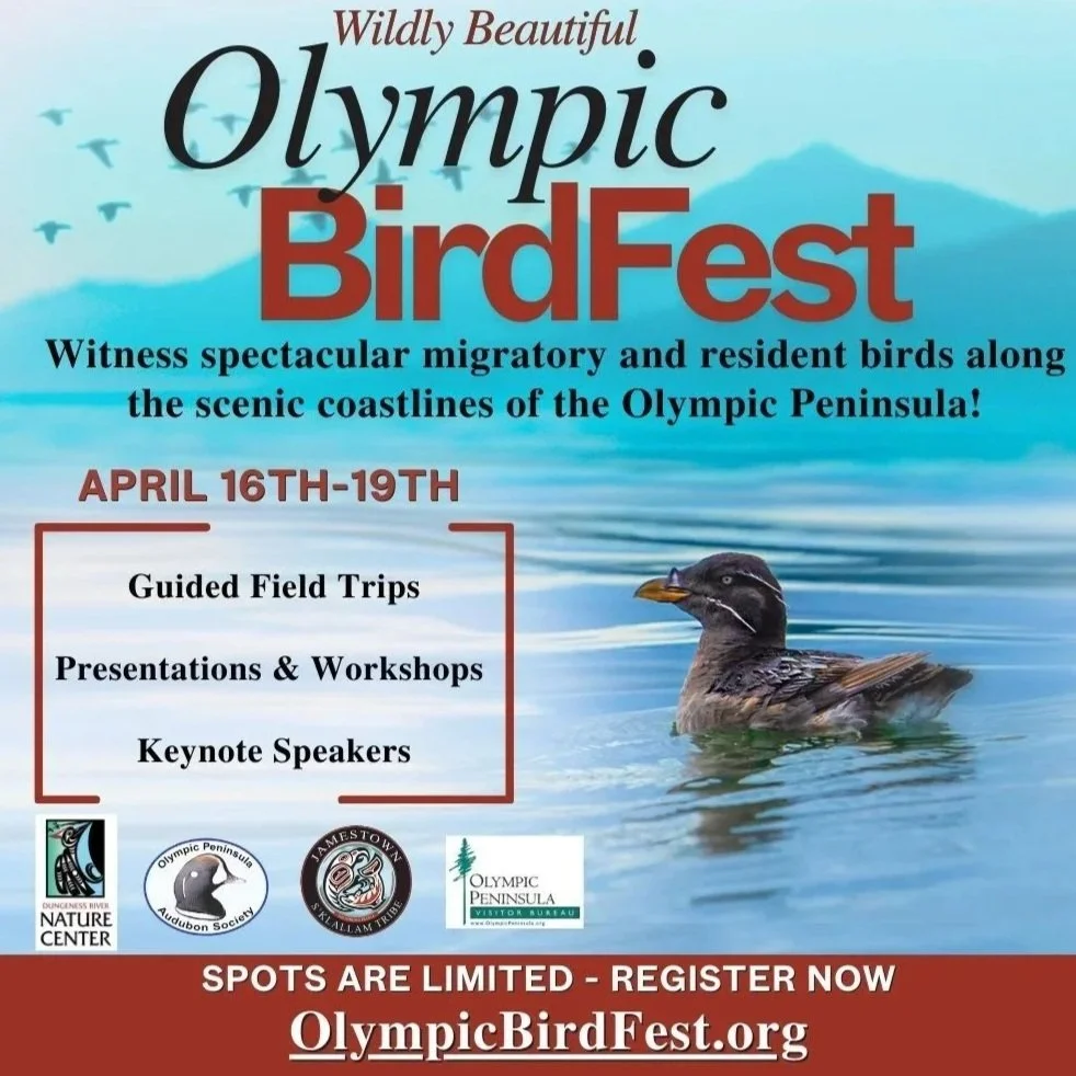 Olympic Bird Fest - Washington State’s North Olympic Peninsula