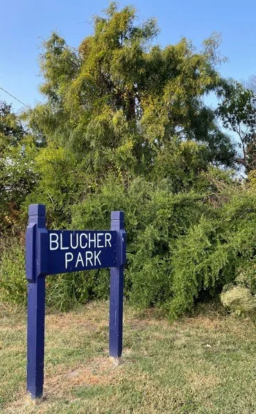Blucher Park Bird Walks, Corpus Christi - Hosted by the Audubon Outdoor Club of Corpus Christi