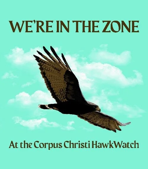 2026 Celebration of Flight at the Corpus Christi HawkWatch Platform at Hazel Bazemore County Park