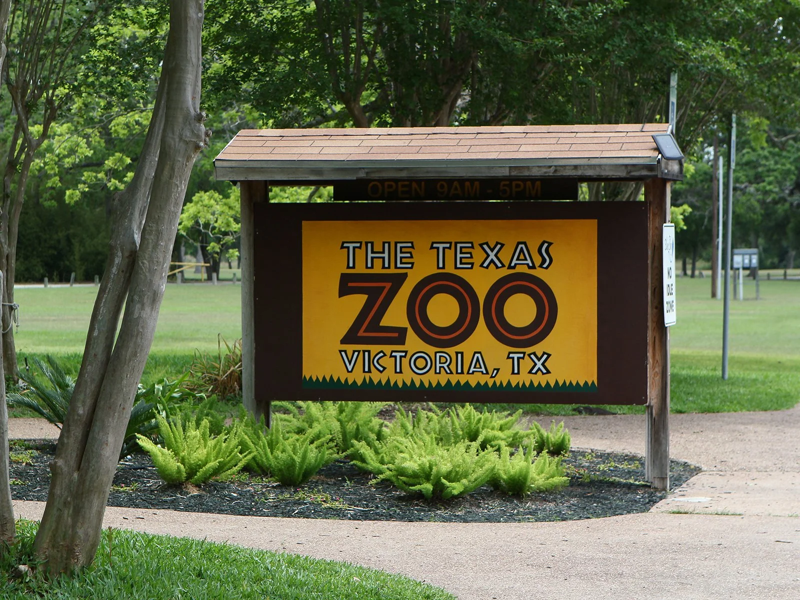 Field Trip:  Austroriparian - Riverside Park in Victoria, TX