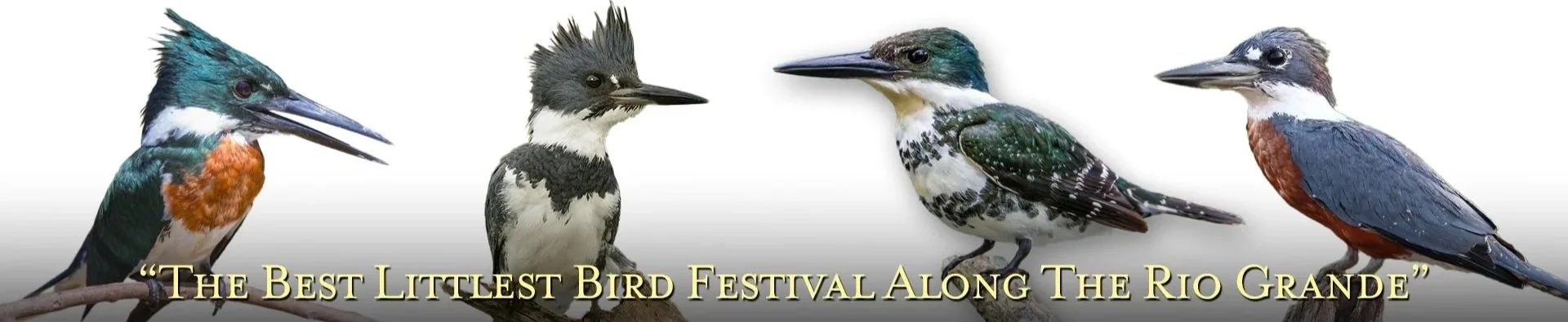 15th Annual Laredo Birding Festival
