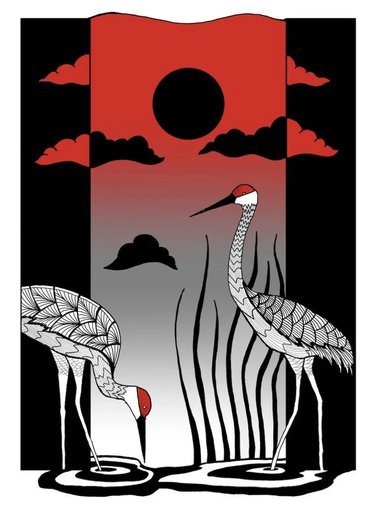 Festival of the Cranes - Bosque del Apache National Wildlife Refuge, New Mexico