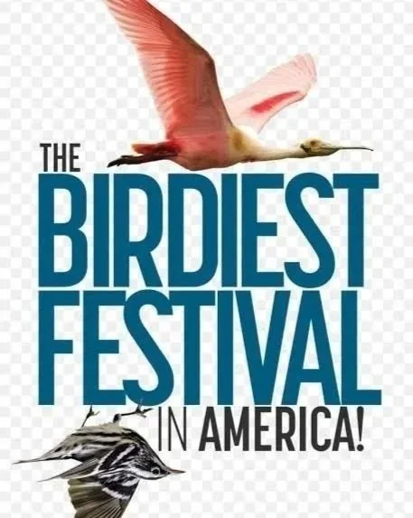 Birdiest Festival in America 2027 - Corpus Christi, TX
