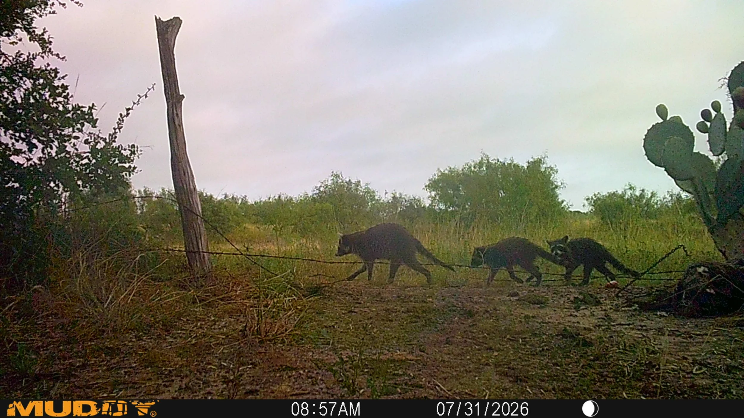 Update on the North Bay Sanctuary - presented by Mike Wenzel