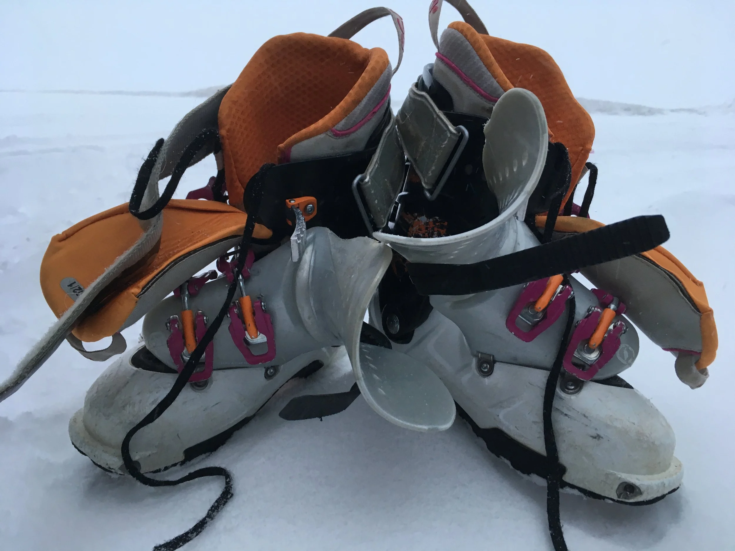 Veðrabrigði og veðurfylgjur