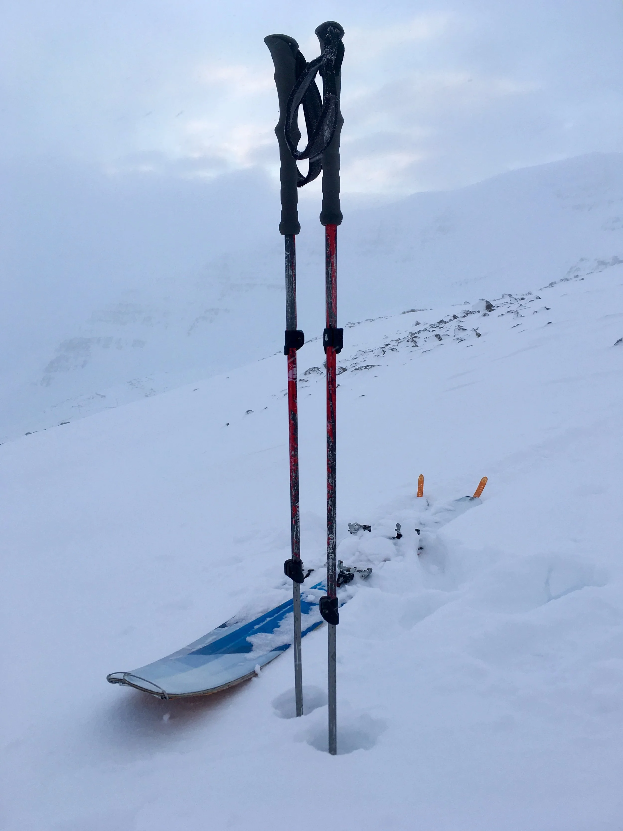 Black Diamond: Expedition 2 Adjustable Ski Poles/Black Diamond Element Skis