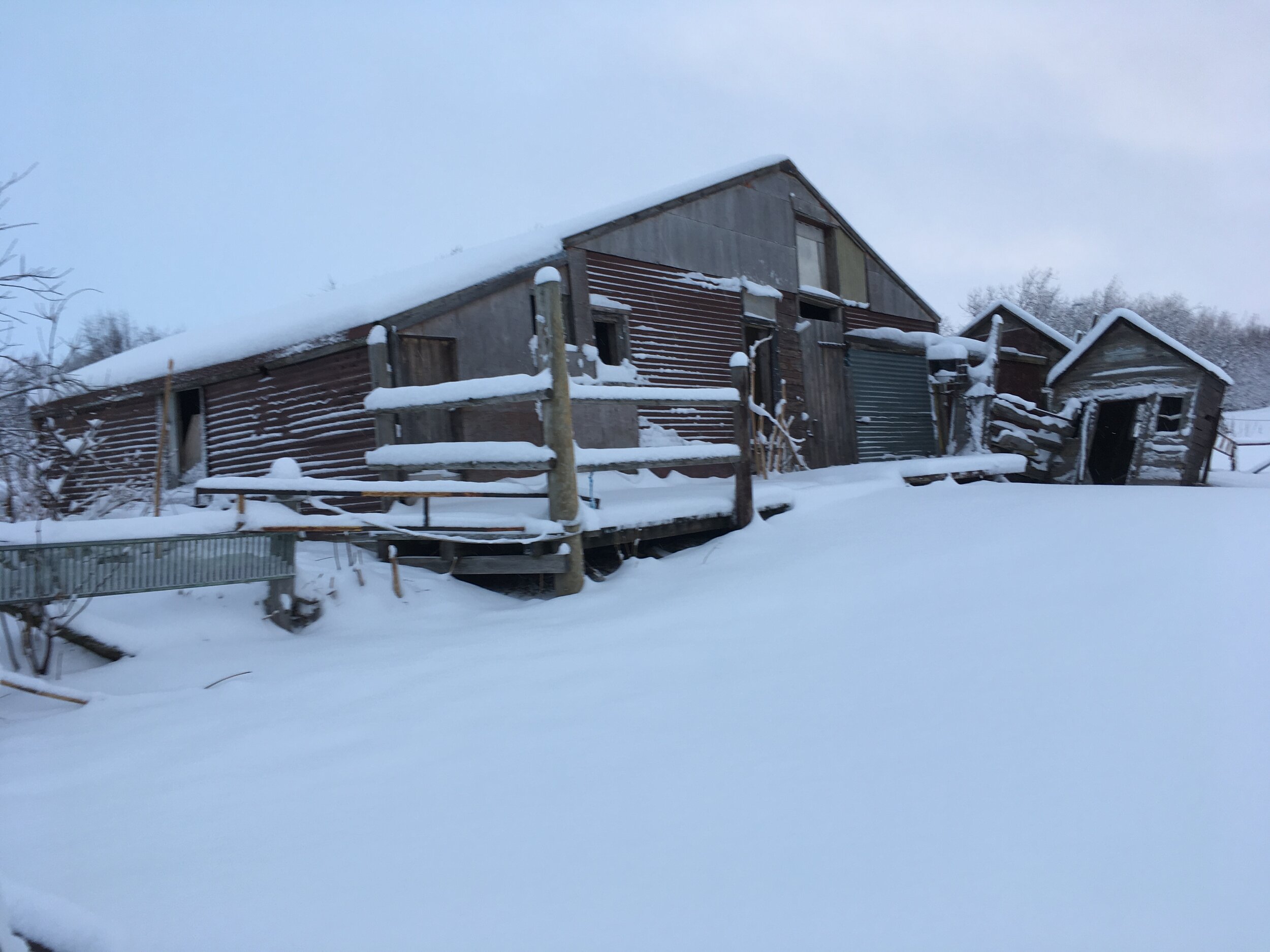 Girðingarstaurar bera býlinu vitni...