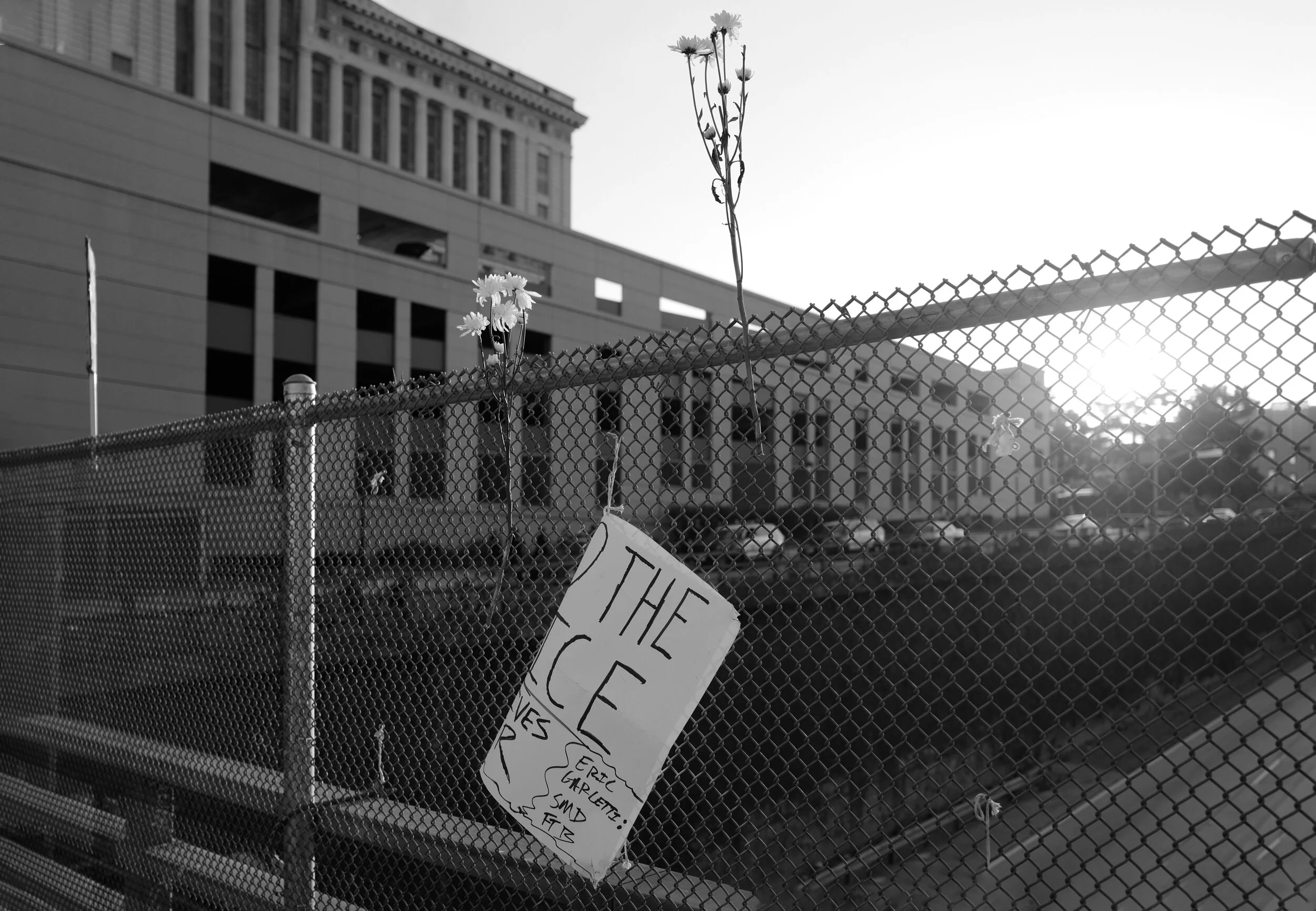 LA_Protest_66.jpg