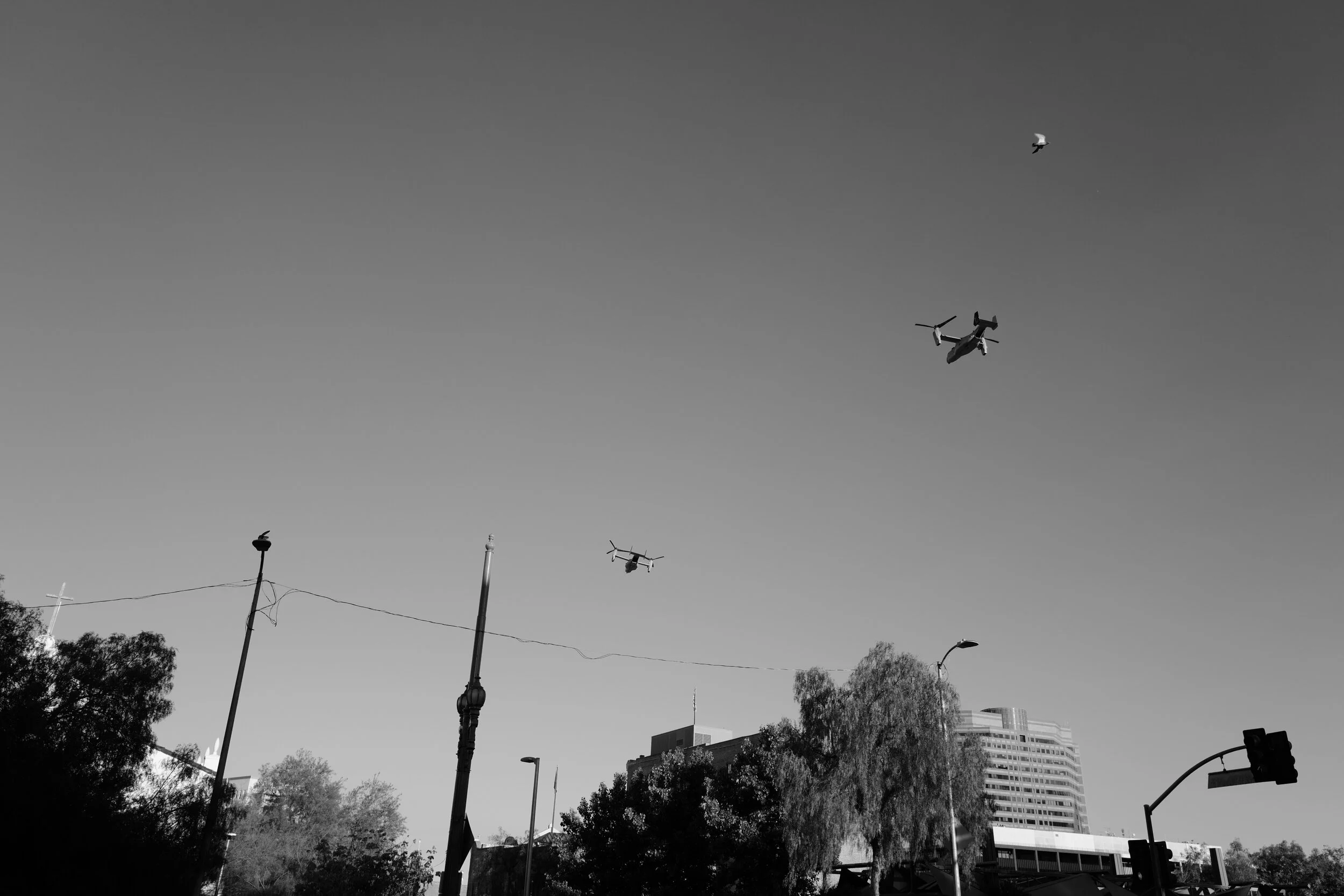 LA_Protest_213.jpg