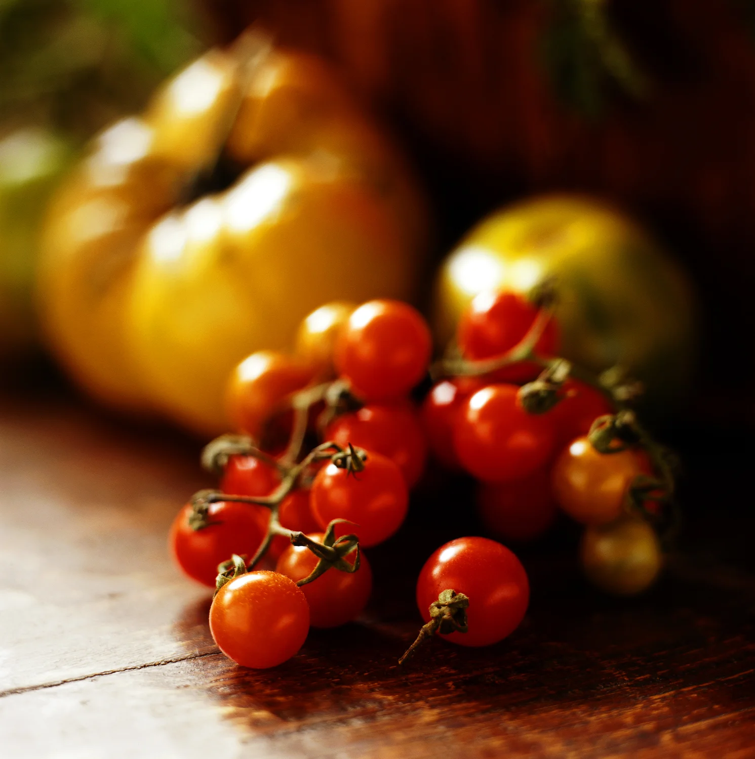 ChryTomatos.jpg