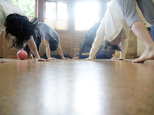 The Peoples Yoga Teacher Training Program: Teaching Experiential Anatomy
