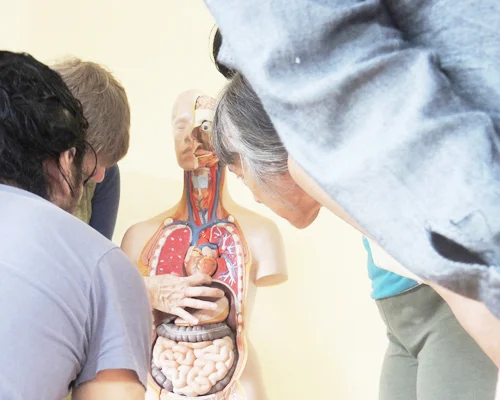 Sonder Movement Project: Teaching Body-Mind Centering® Somatic Movement Education