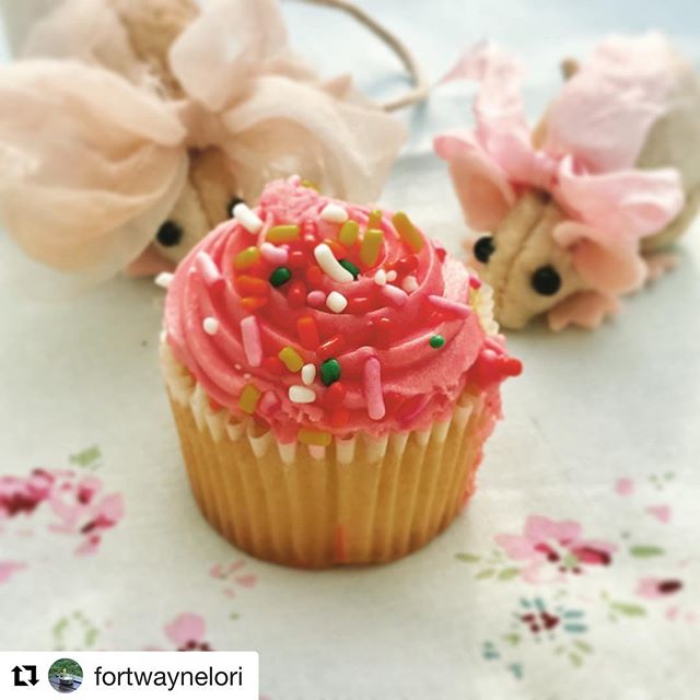 Makes my world to know our dear friend @fortwaynelori had a happy birthday yesterday, and that she had two dear mousies to help her celebrate🎉 Sending much love to you, sweet girl! 🌸🐭🐭🎀🌸xoxo #elizathemouse&trade;  #babymouse #handmade #handstit