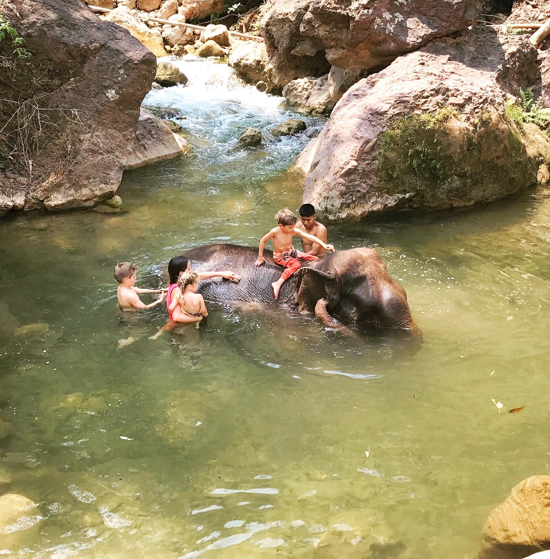 Helping to bathe the rescued and orphaned elephants at a beautiful sanctuary, up in the mountains, in Myanmar. 