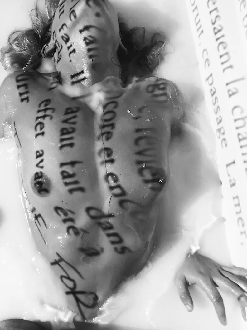 L_amant_BIG final.jpg