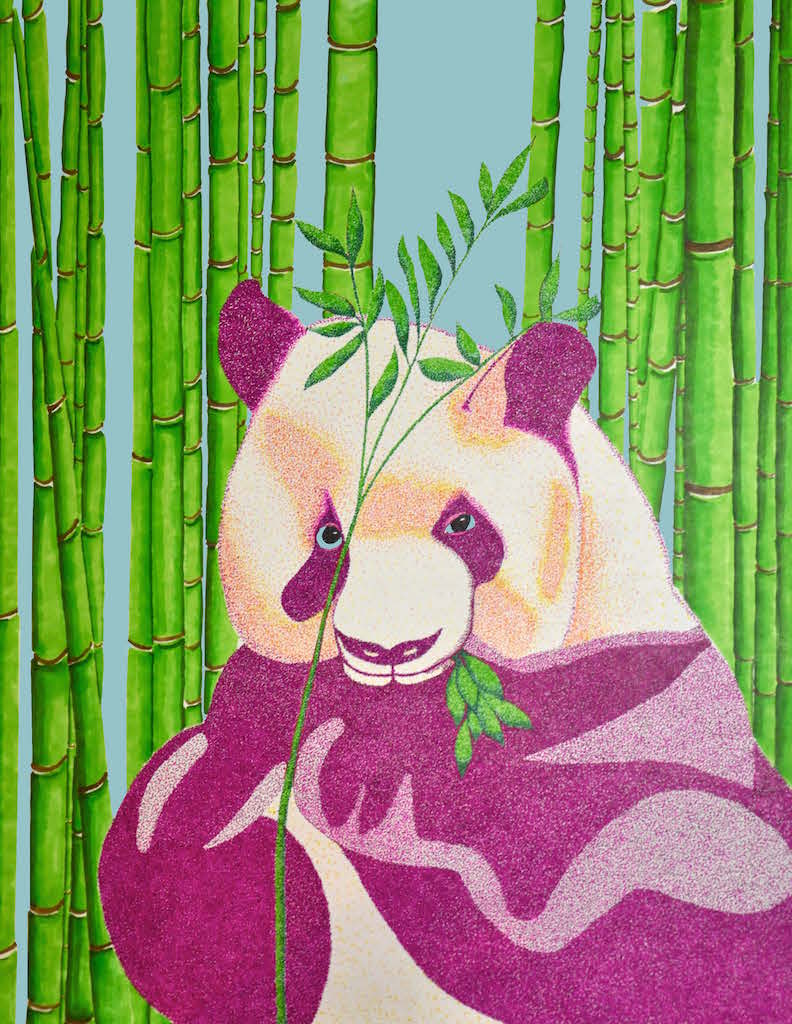 panda.jpg