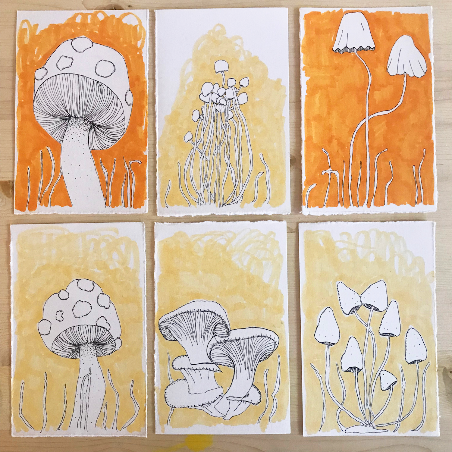 shrooms.png