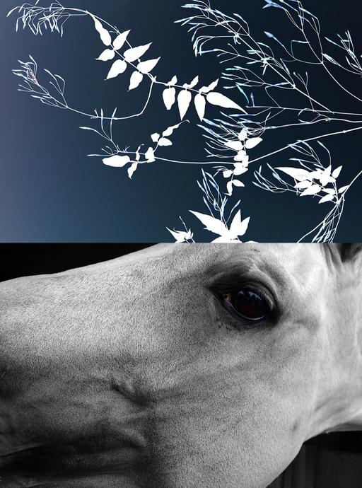 Kelly Kein Jazz, 2005, by The Hilton Brothers