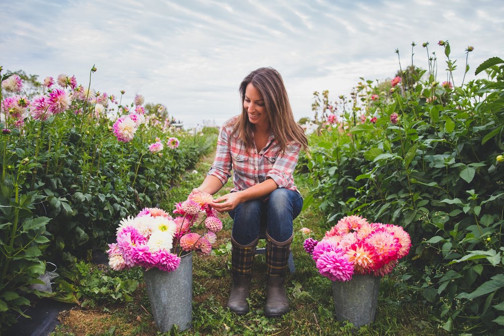 Guide to Growing Dahlias — Acre Farm