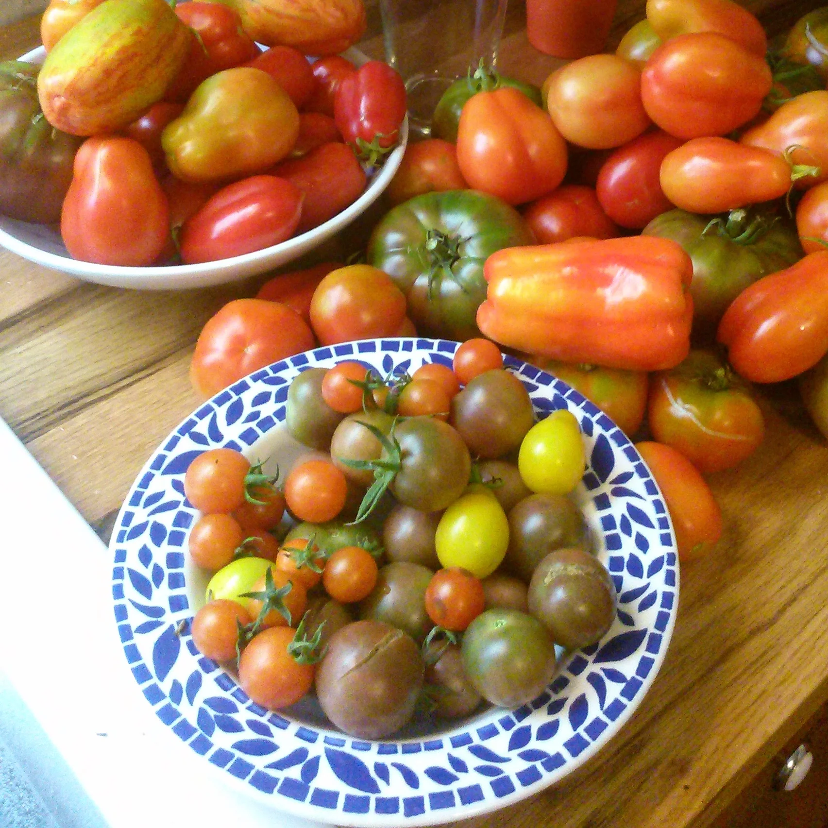 How to Protect Your Plants from Cutworms