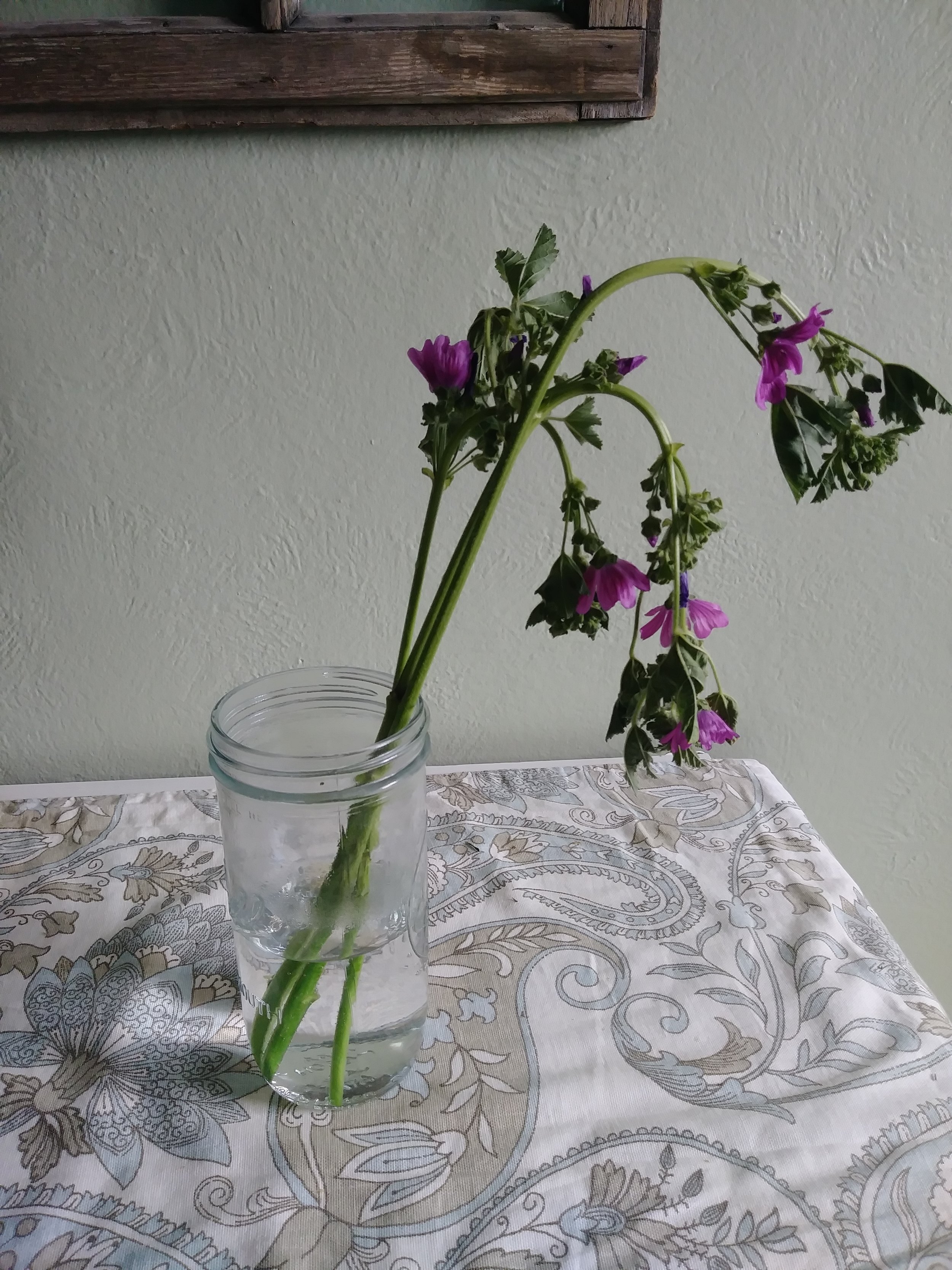 Why Your Flower Stems Have Gone Crooked (and How to Straighten Them Out  Next Year)