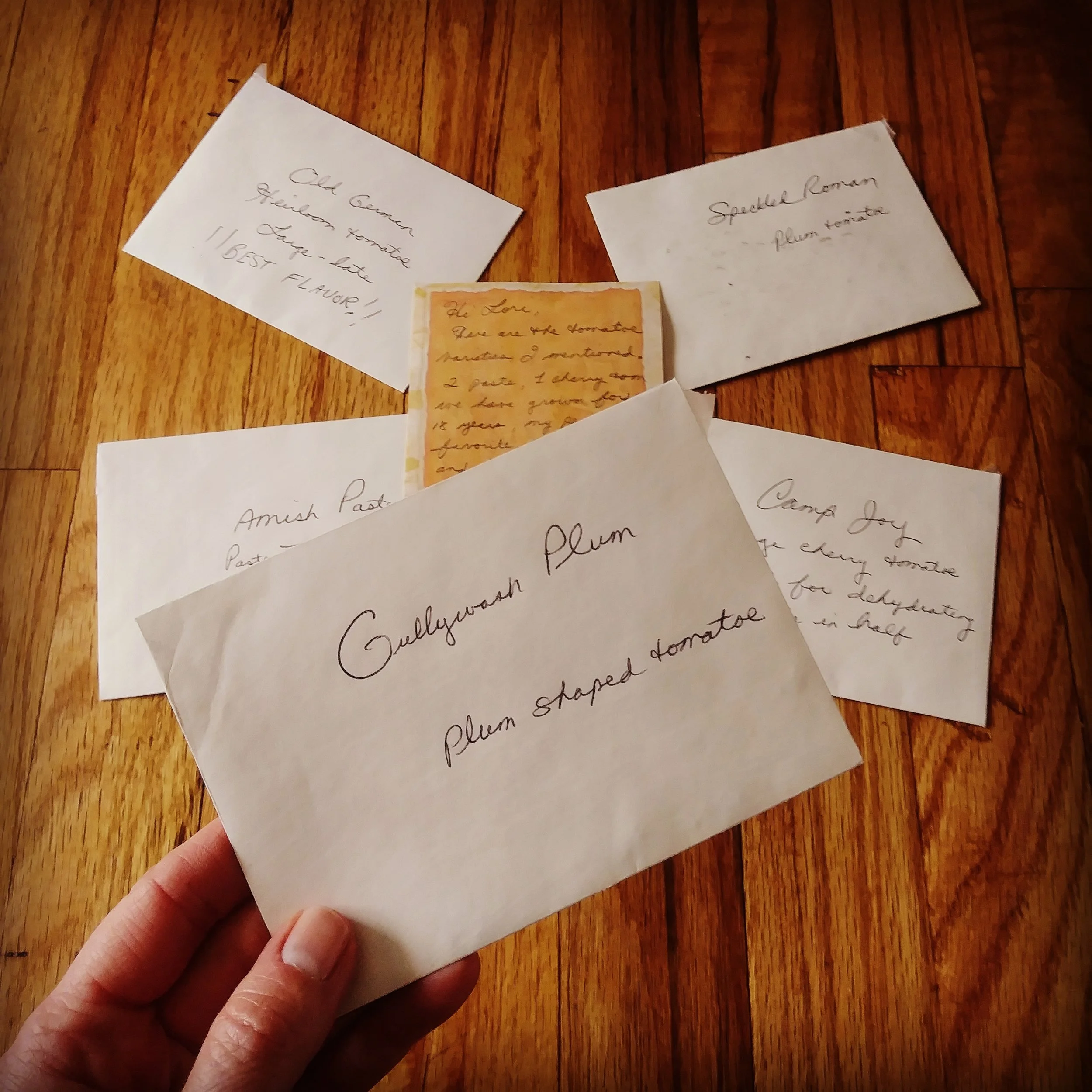 Tomato seeds a friend sent me in the mail… from their farm!