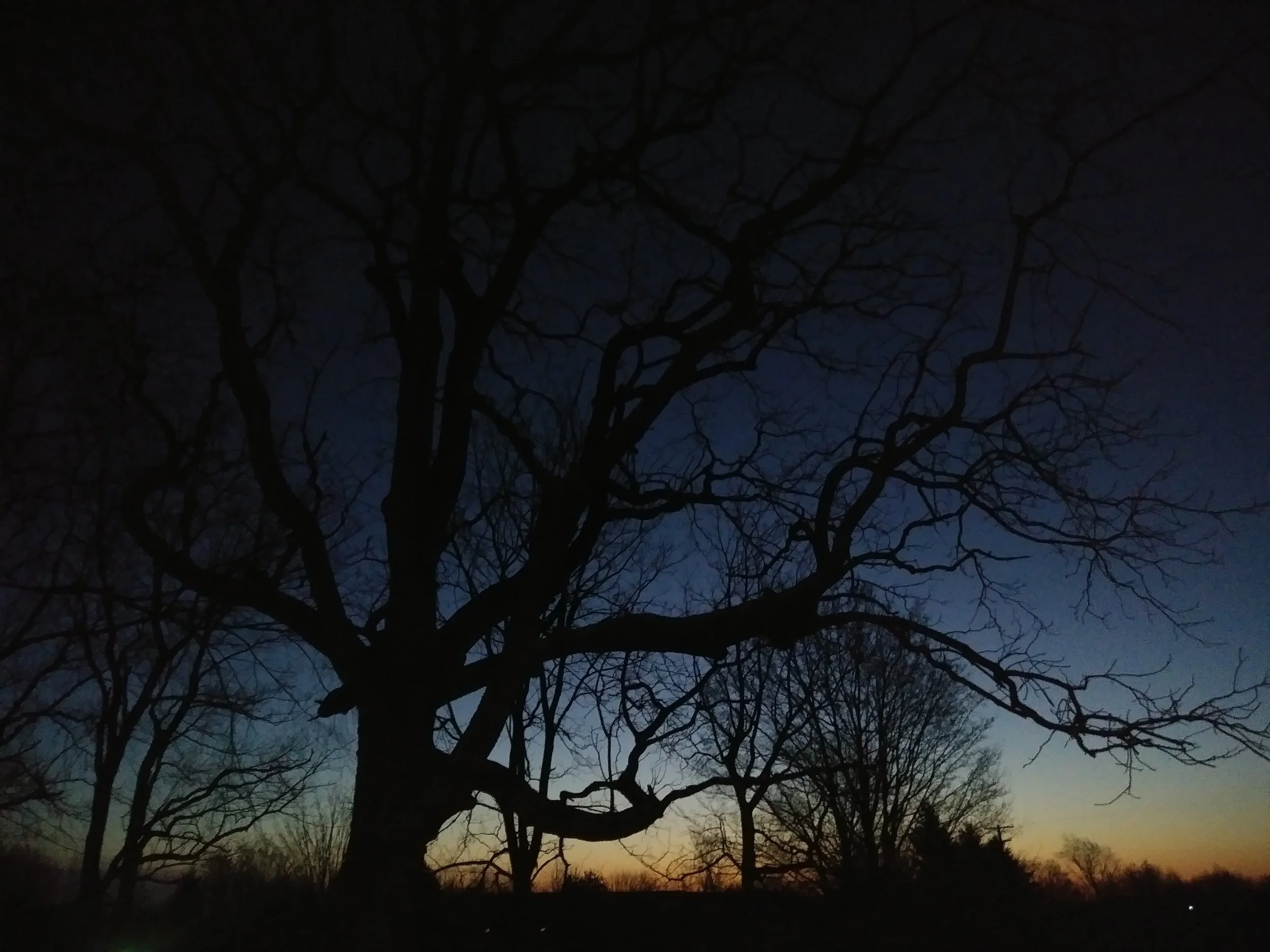 20180126_071627.jpg