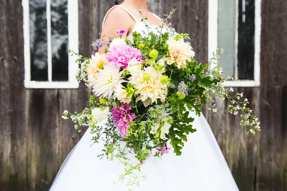 LRphotosThreeacrefarmsOct2018web-4.jpg