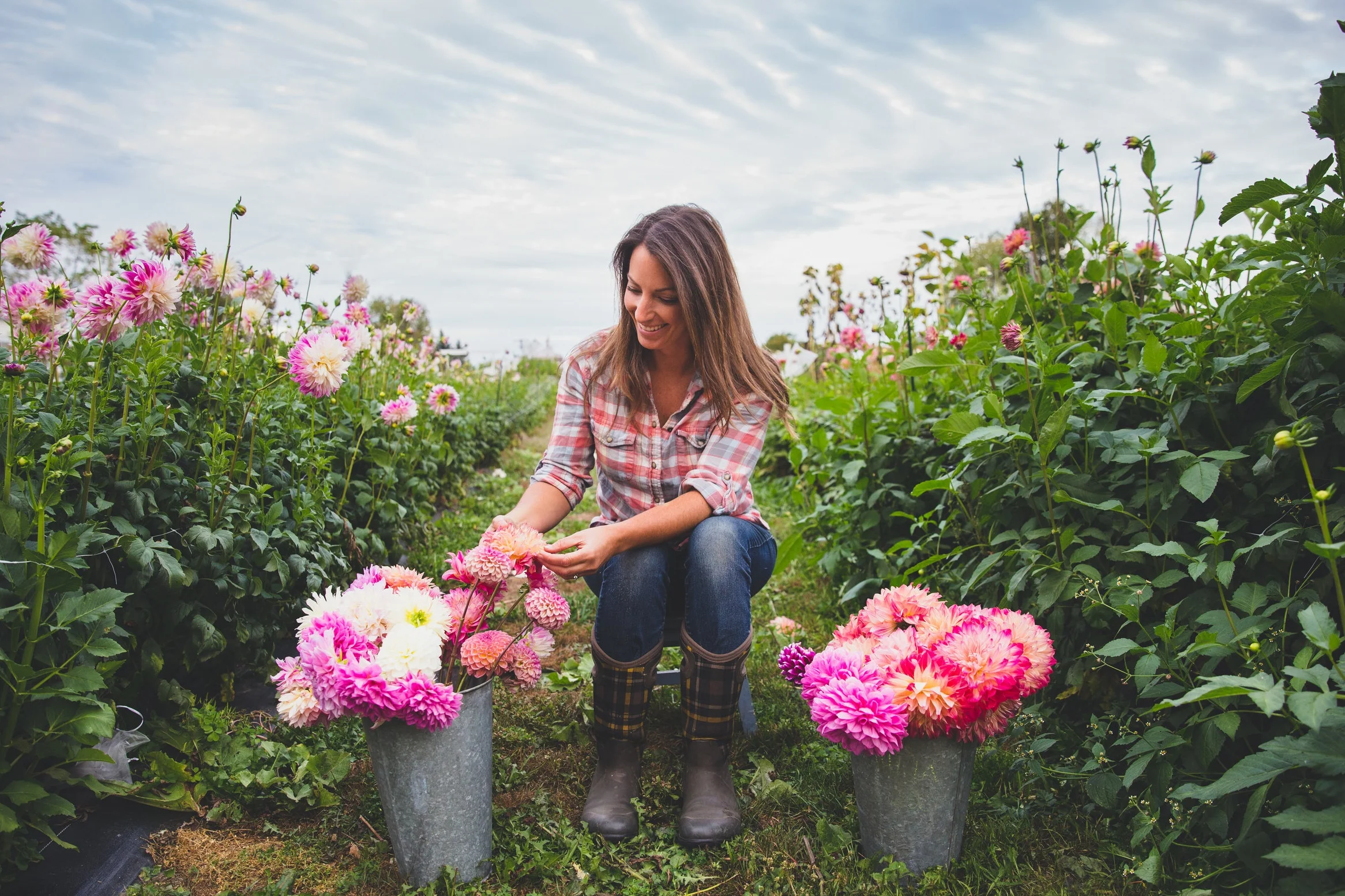 LRphotosThreeAcreFarm-1.jpg