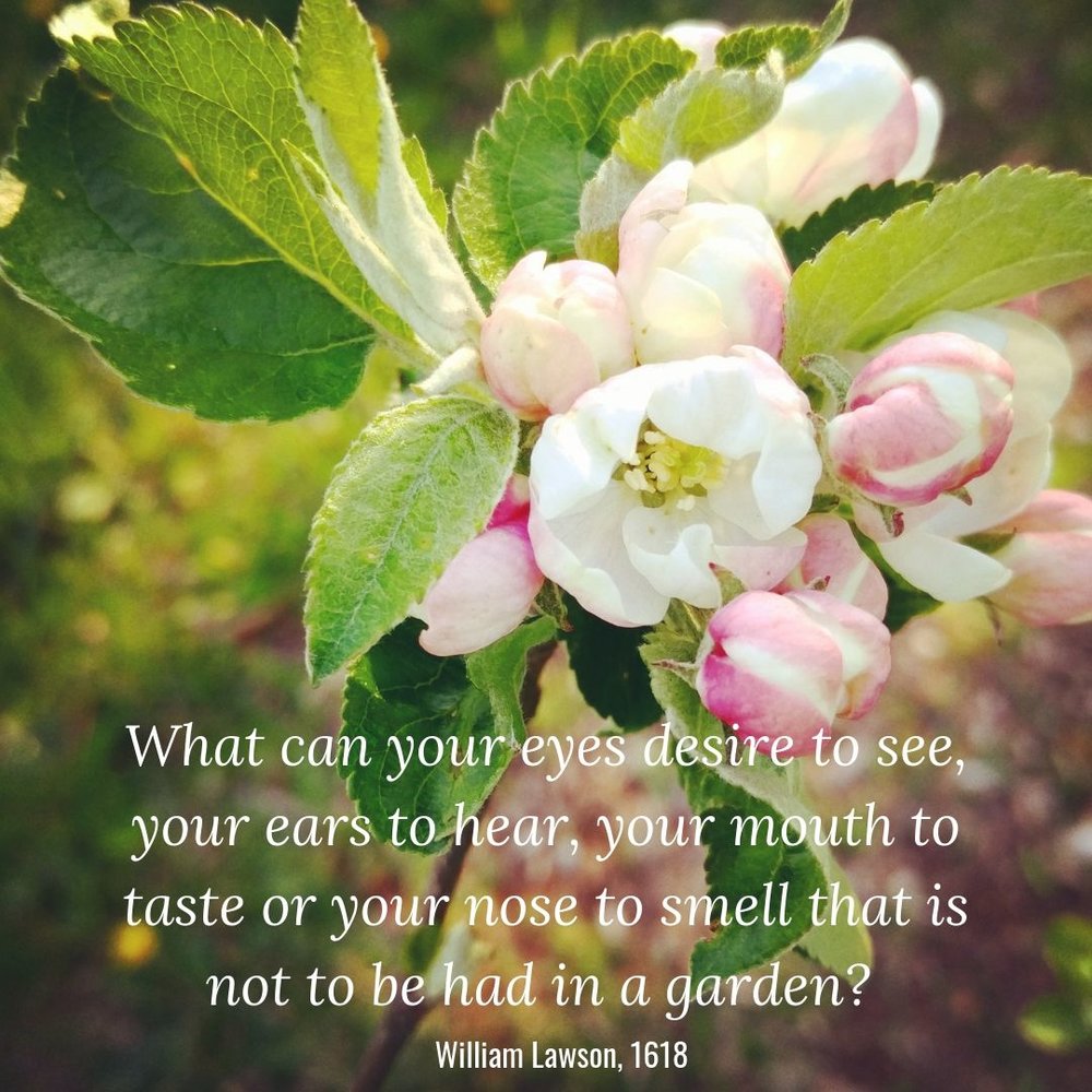 “What can your eyes desire to see, your ears to hear, your mouth to taste or your nose to smell that is not to be had in the garden?” - William Lawson, 1618