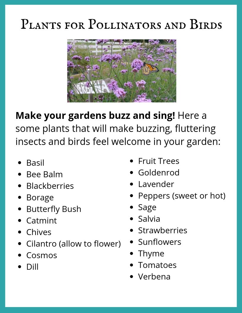 Plants for Pollinators and Birds.jpg