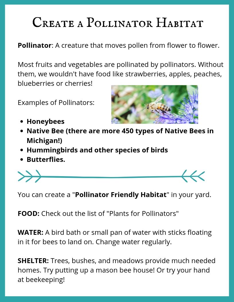 Create a Pollinator Habitat.jpg