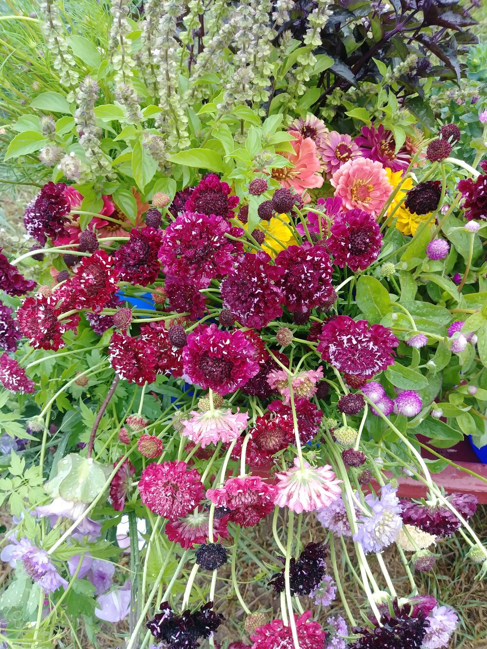 20180721_113319.jpg