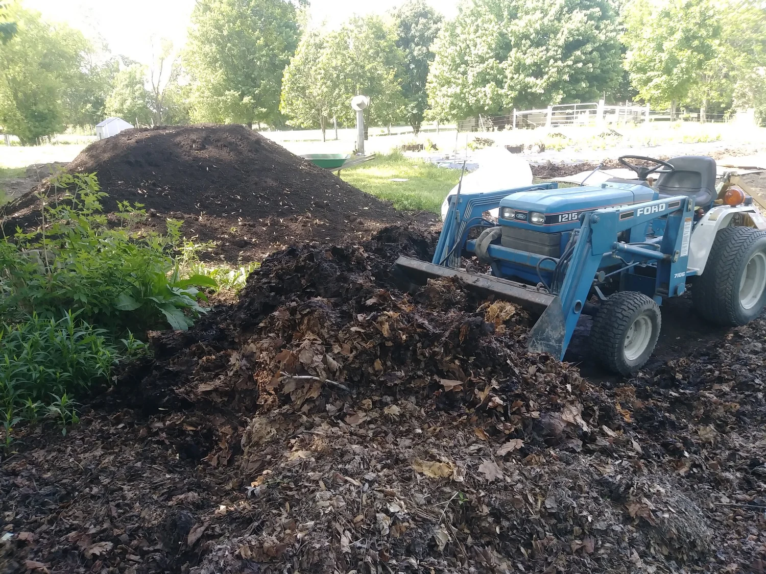 Picture of How to Create a New Growing Area — Three Acre Farm