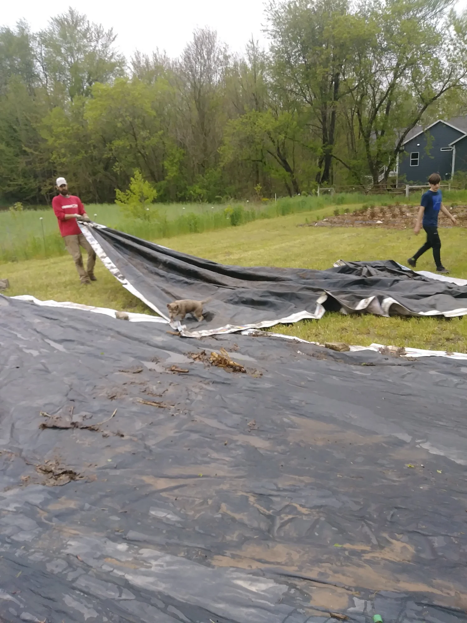 Picture of How to Create a New Growing Area — Three Acre Farm