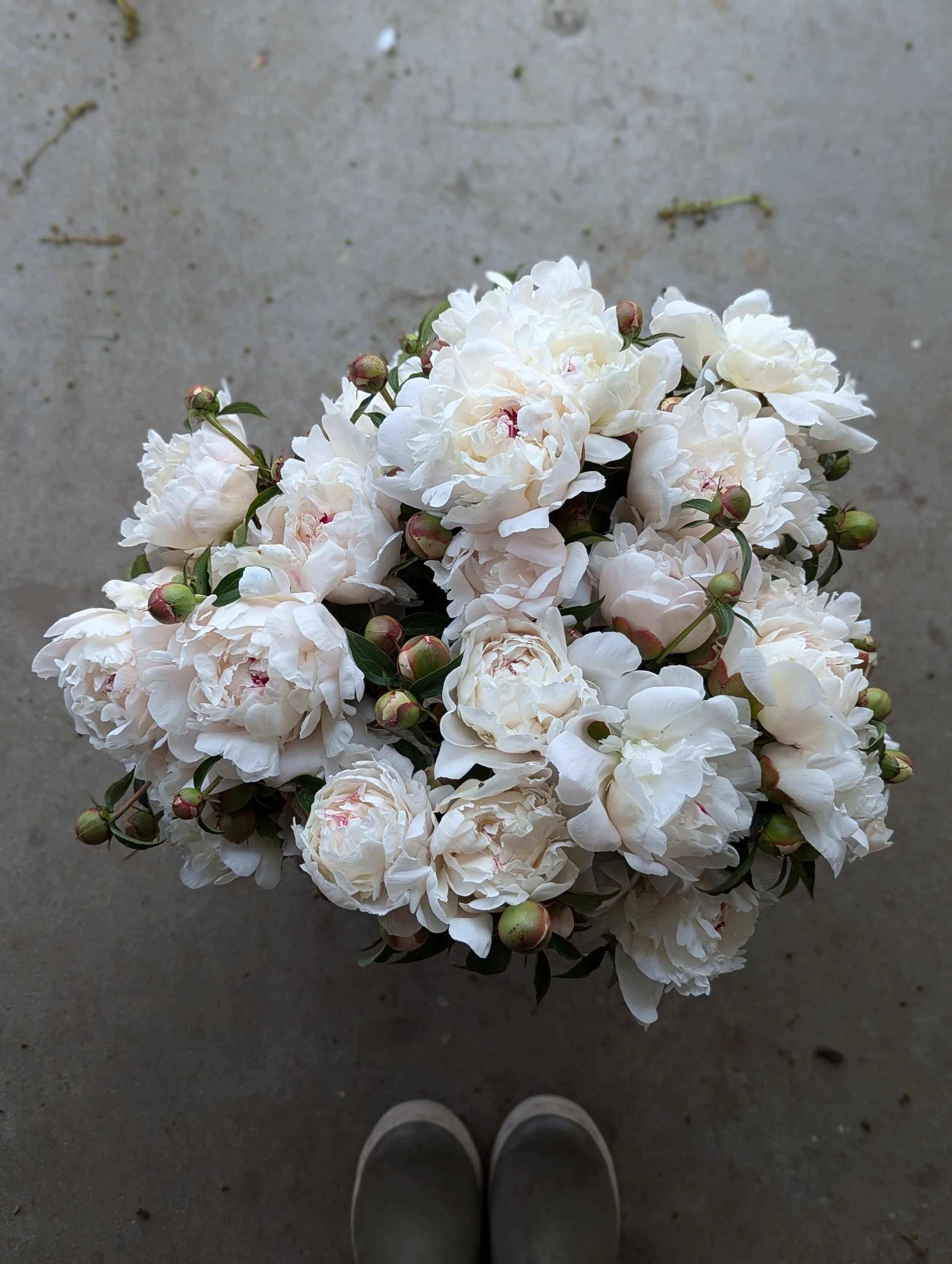 Bridal Bouquet Workshop